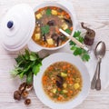 Krupnik Ã¢â¬â Polish Pearl Barley Soup Royalty Free Stock Photo